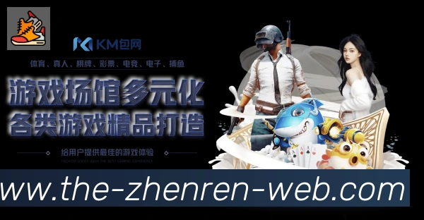 未来规划